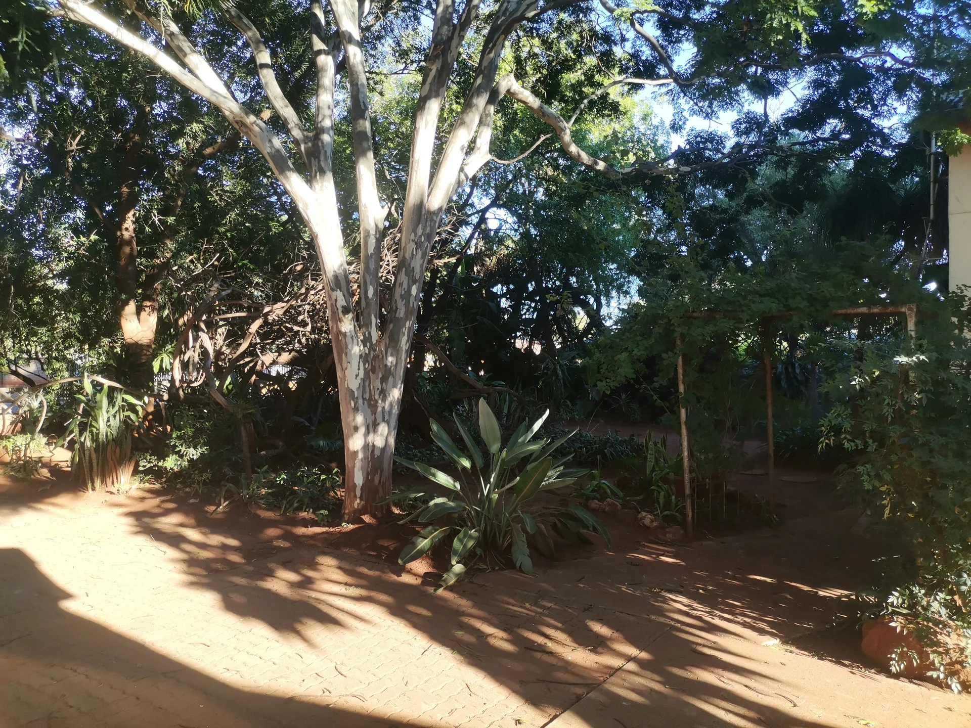 Gallery image 7