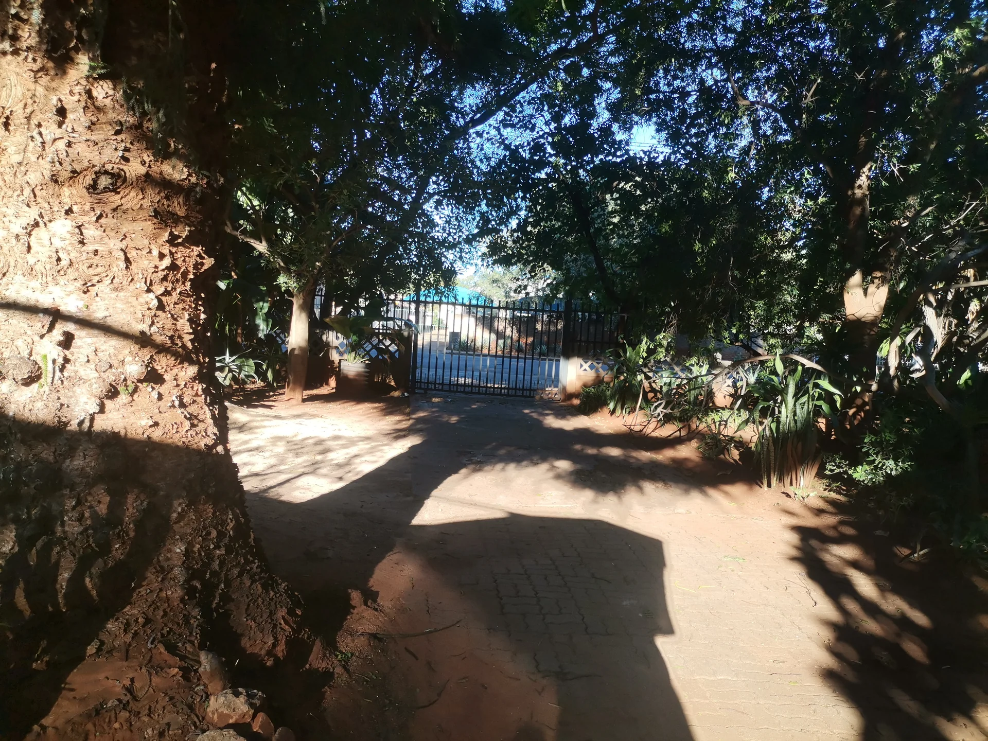 Gallery image 6