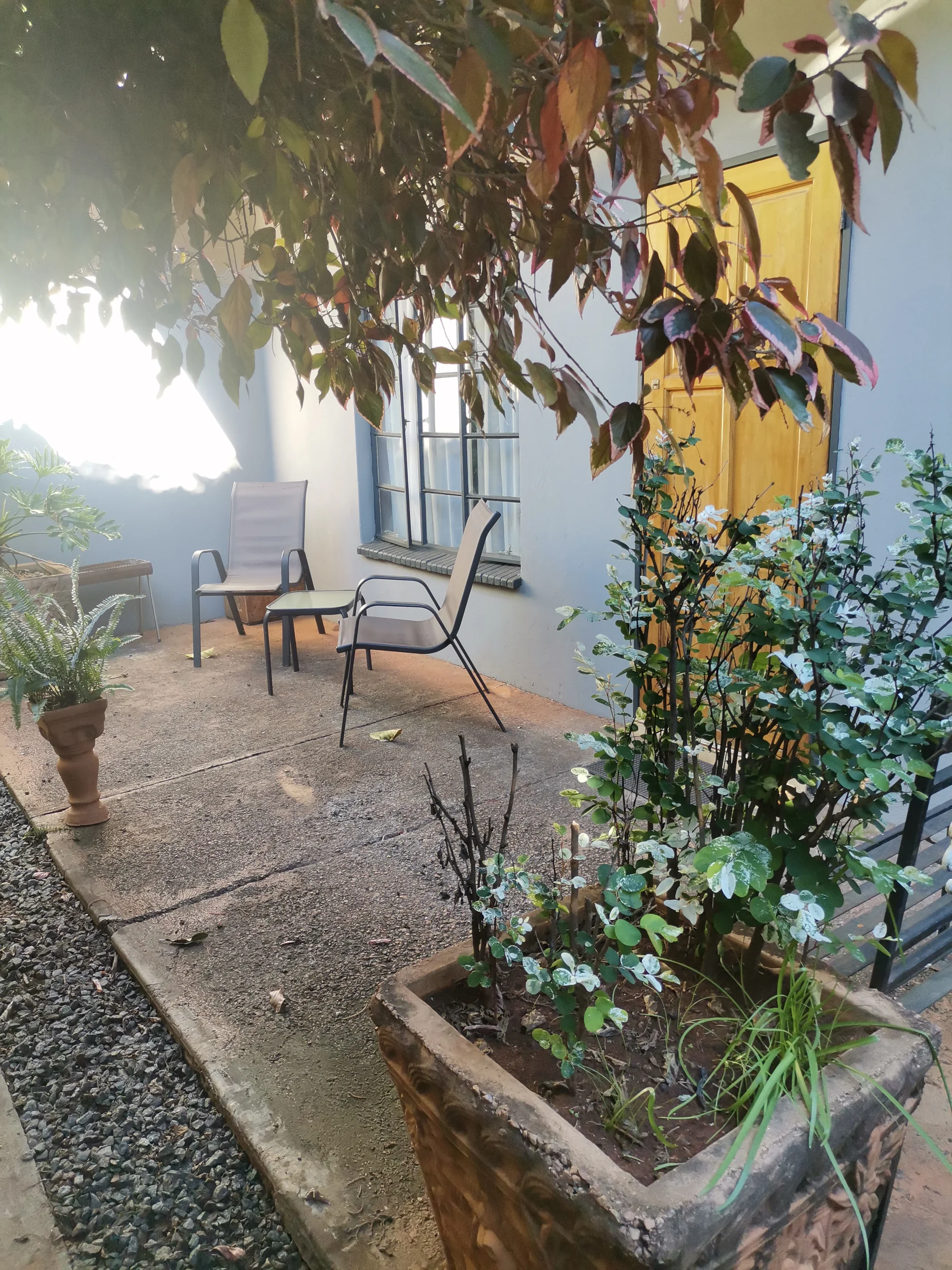 Gallery image 15
